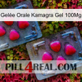 Gelée Orale Kamagra Gel 100Mg 14